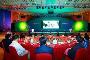 廣西專業婚慶策劃主持哪家好？非凡婚慶活動策劃全方位解析