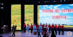 共譜知青情 同筑文旅夢——南通知青在首屆泛長三角知青之歌文化旅游節中的文化交流與傳承